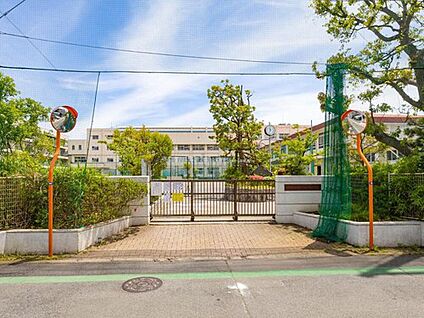 市川市立第六中学校 1900m(徒歩24分)