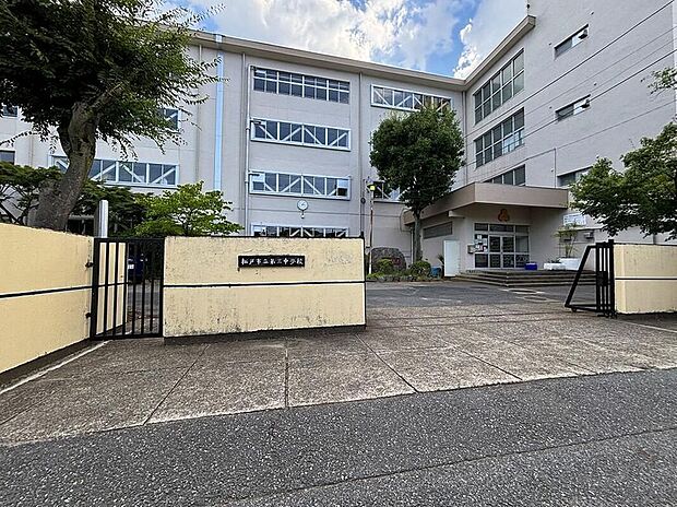 松戸市立第三中学校（約550m）
