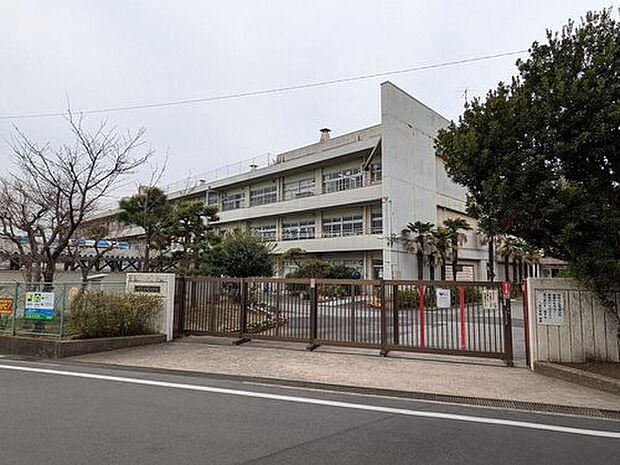 市川市立平田小学校（約300m）