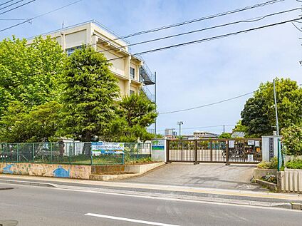 市川市立大洲小学校 750m(徒歩10分)