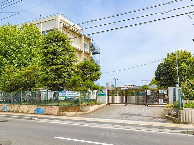 市川市立大洲小学校(約750m)