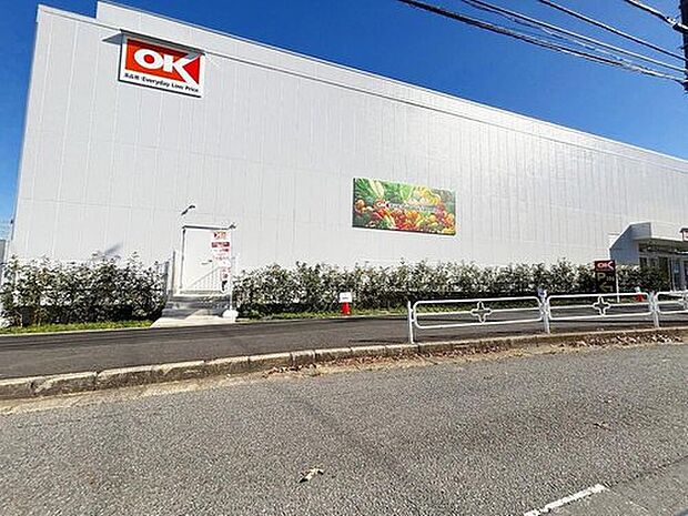 オーケー松戸大橋店(約800m)