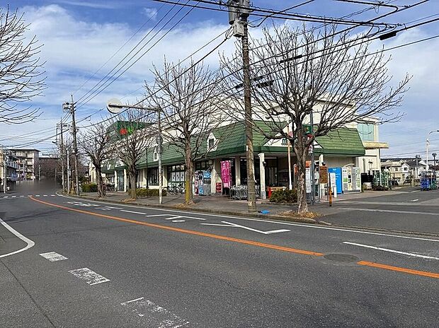 マルエツ小金原店(約550m)