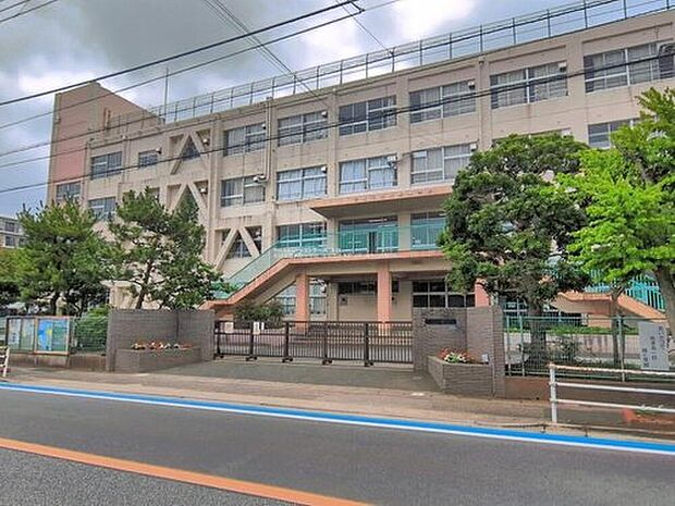 市川市立大野小学校(約150m)