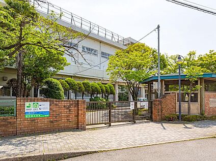 市川市立南行徳小学校 300ｍ(徒歩4分)