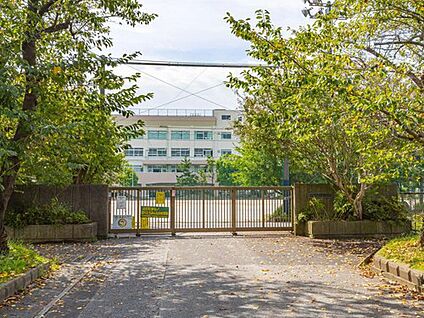 市川市立百合台小学校 450m(徒歩6分)