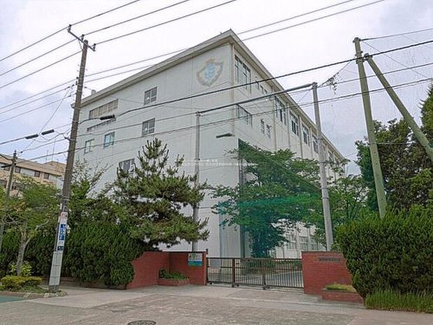 市川市立第七中学校(約500m)