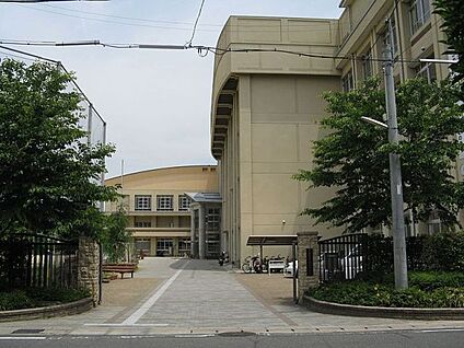 京都市立花山中学校 徒歩560m