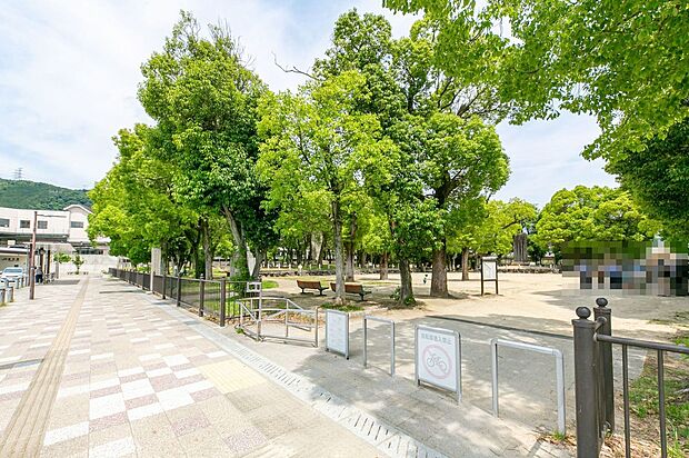 くすのき公園（約300m）