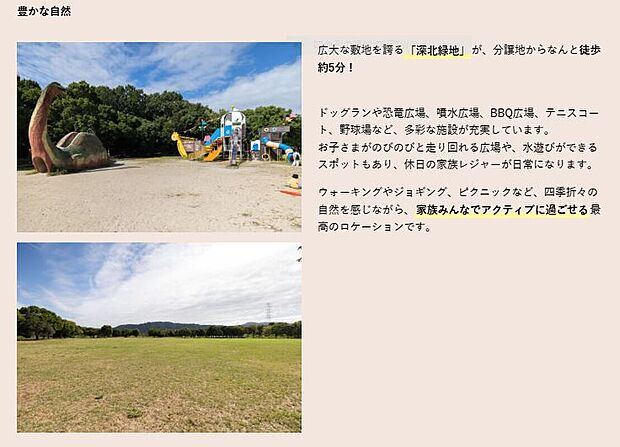 広大な敷地を誇る「深北緑地」が、分譲地からなんと徒歩約5分!
ドッグランや恐竜広場、噴水広場、BBQ広場、テニスコート、野球場など、多彩な施設が充実しています。お子さまがのびのびと走り回れる広場