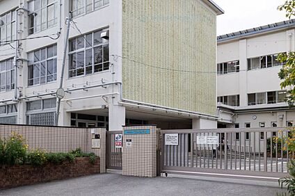 くすのき小学校 550ｍ(徒歩8分)