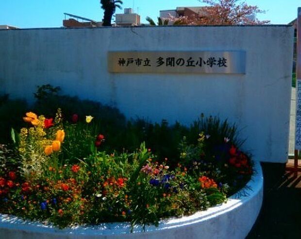 神戸市立多聞の丘小学校