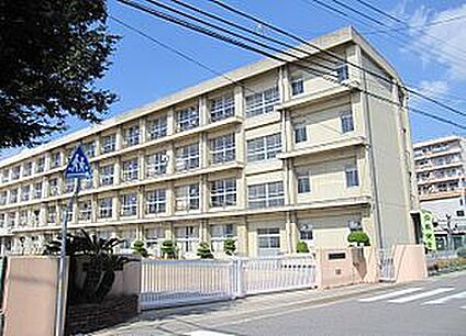 明石市立錦浦小学校 徒歩717m