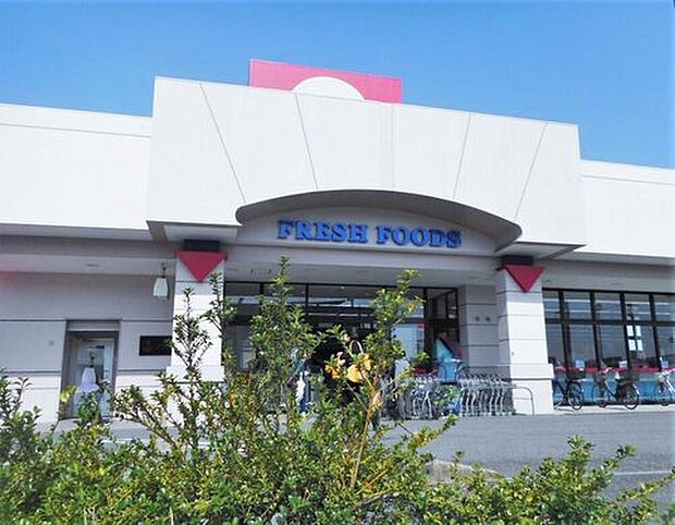 アオキスーパー知立店（約1,100m）