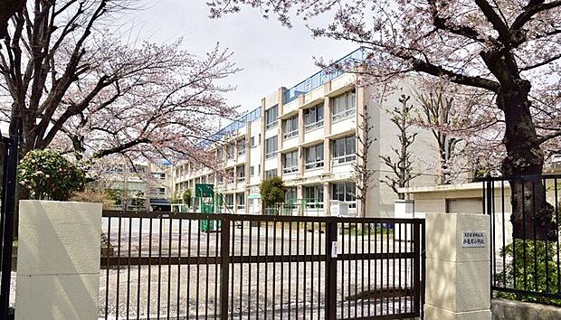 葛飾区立西亀有小学校（約410m）