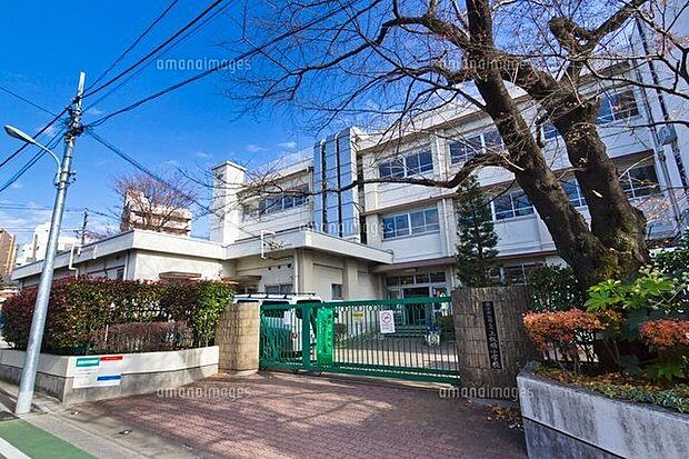 板橋区立上板橋小学校（約320m）