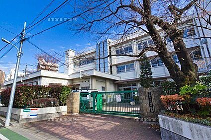 板橋区立上板橋小学校 320m