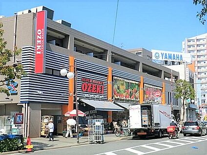 オオゼキ池上店 600m(8分)