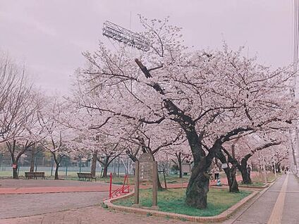 山王公園 600m(8分)