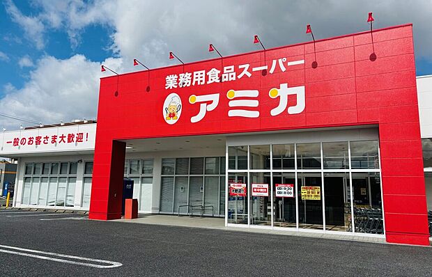 アミカ一宮店（約650m）