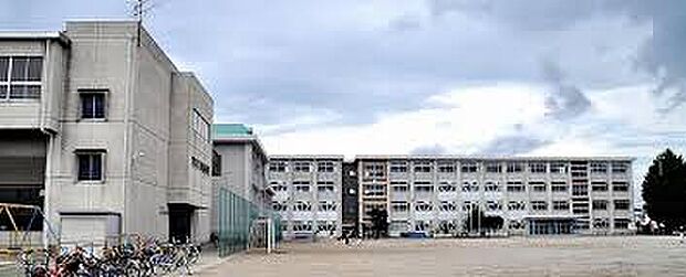 岐阜市立島小学校（約1,000m）