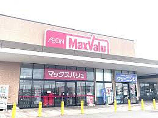 マックスバリュ穂積店（約1,500m）
