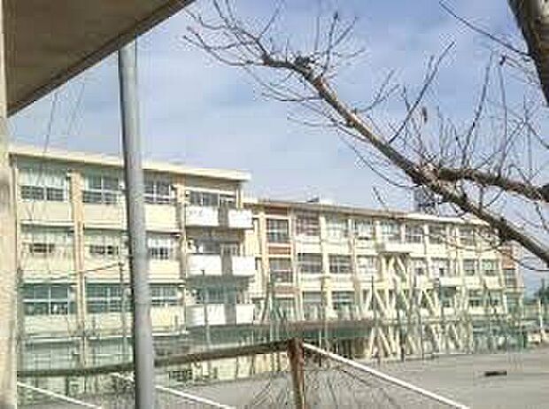 岐阜市立精華中学校（約2,700m）