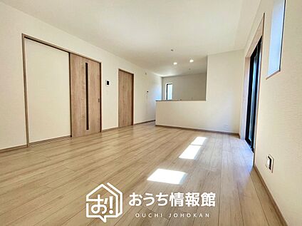 現地写真（リビング）