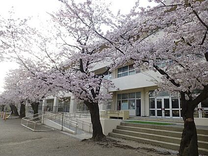 各務原市立鵜沼第三小学校 1000ｍ(徒歩13分)