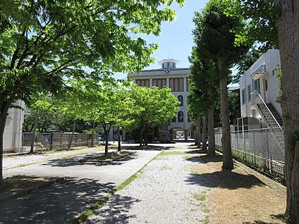 長浜市立長浜小学校 1200ｍ(徒歩15分)