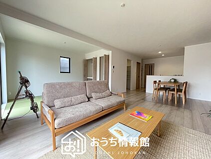 現地写真(リビング)