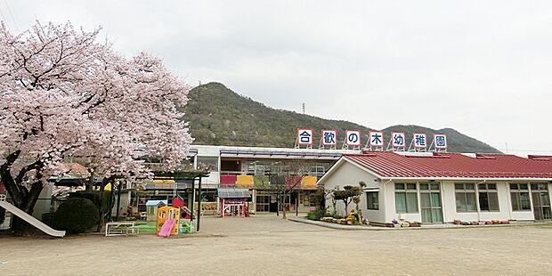 合歓の木幼稚園(約150m)