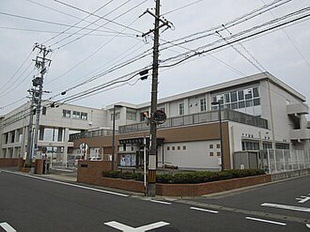 岐阜市立鶉小学校(約550m)