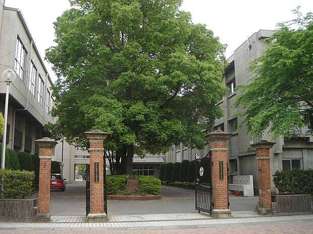 岐阜市立加納小学校(約800m)