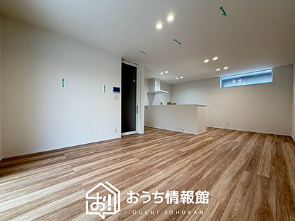 現地写真(リビング)