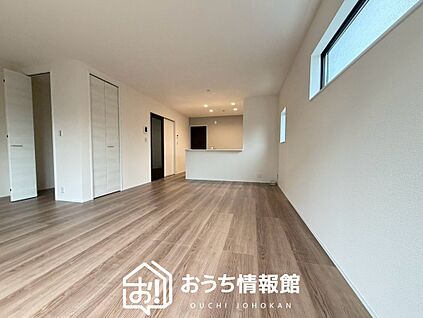現地写真(リビング)