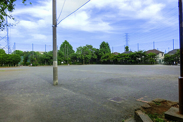 深大寺公園(約700m)