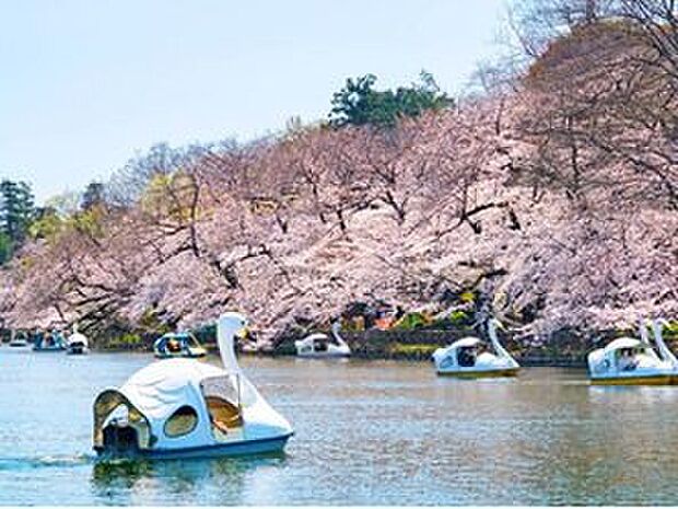井の頭恩賜公園（約1,560m）