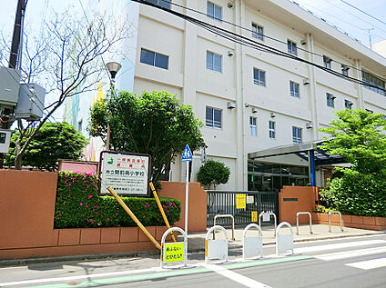 武蔵野市立関前南小学校 50ｍ(徒歩1分)