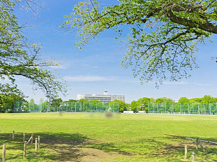 武蔵野中央公園 1100ｍ(徒歩14分)
