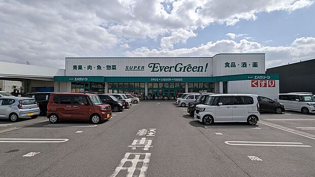 スーパーエバグリーン 広陵店(約581m)