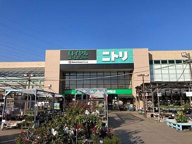 ニトリロイヤル押熊店(約520m)