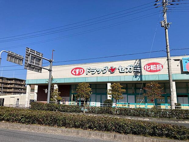 ドラッグセガミ菜畑店（約600m）