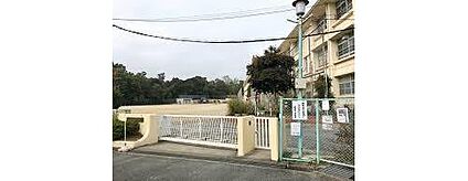 奈良市立伏見南小学校 550m (徒歩7分)