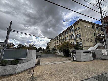 奈良市立都南中学校 2000ｍ(徒歩25分)