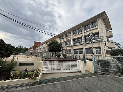 奈良市立伏見南小学校 1100m(徒歩14分)