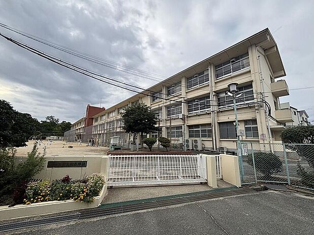 奈良市立伏見南小学校(約1,100m)