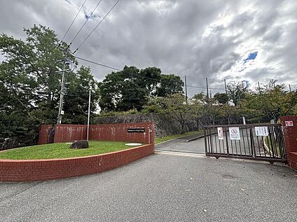 大和郡山市立郡山中学校 800m(徒歩10分)
