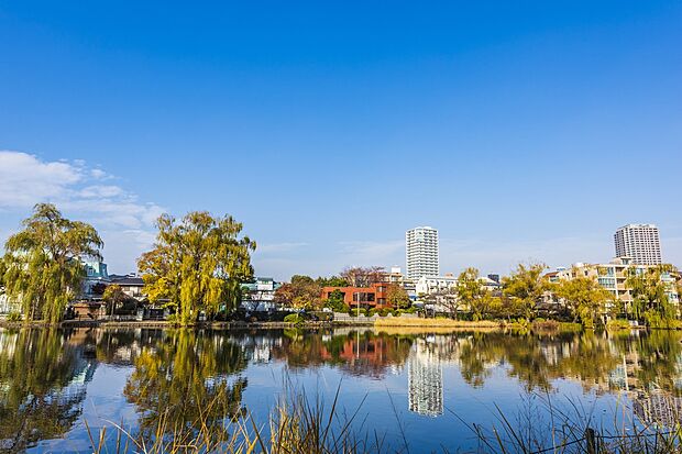 都立石神井公園（約2,000m）