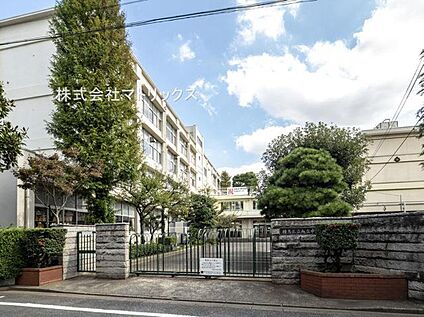 練馬区立旭丘中学校 350m(徒歩5分)